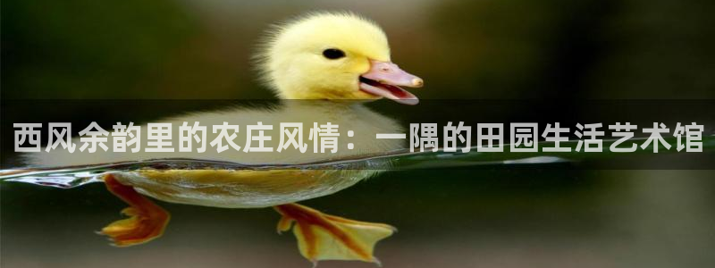 天辰娱乐51137