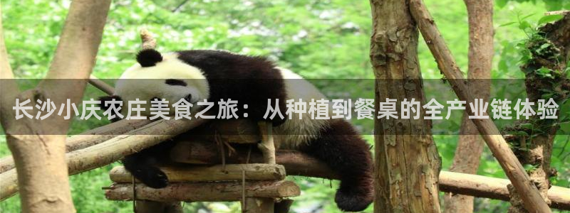 天辰娱乐文化