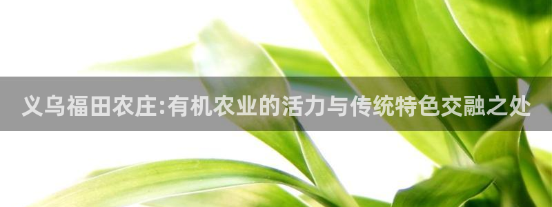 天辰娱乐路线