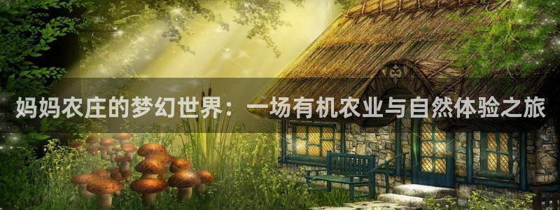 娱乐ktv天辰