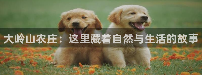 南京天辰娱乐
