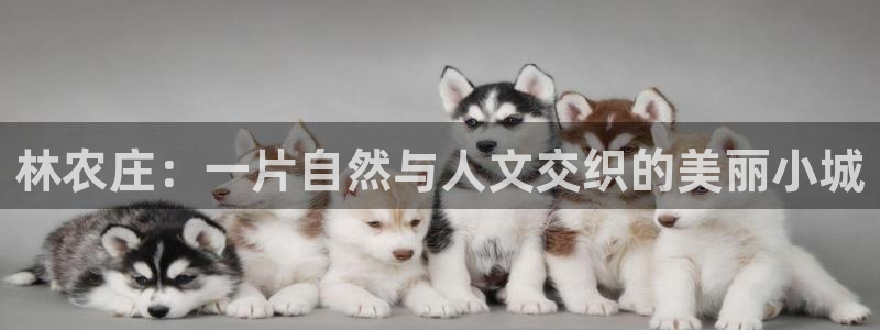天辰娱乐传媒