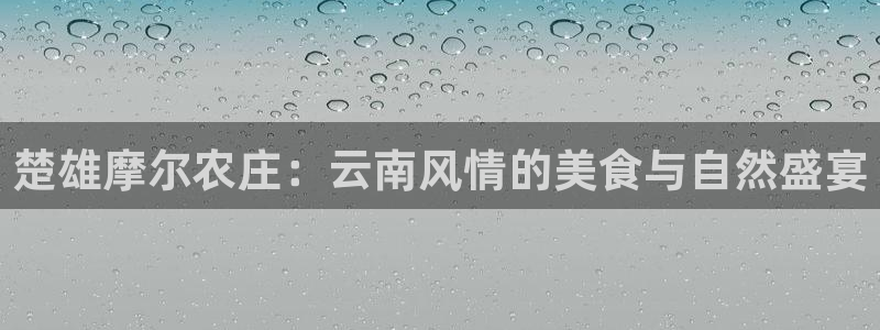 南京天辰娱乐