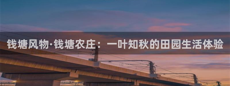 天辰娱乐老板