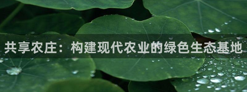 天富娱乐与天辰娱乐