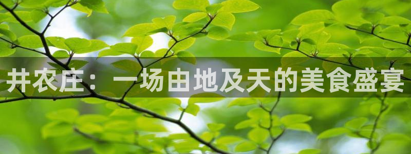 天辰团队贝高娱乐