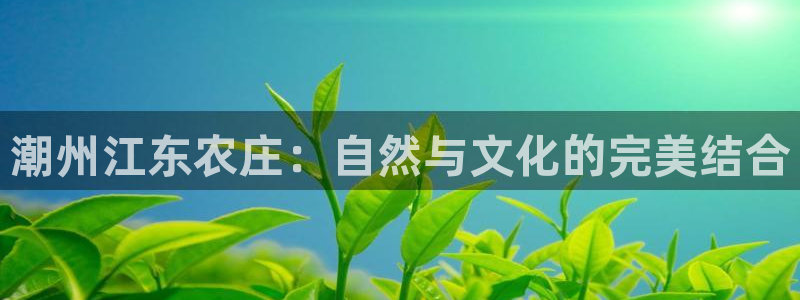 天辰娱乐22650