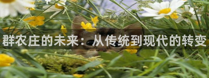 天辰娱乐彩票