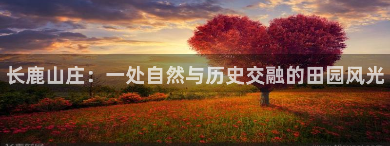 天辰娱乐内部