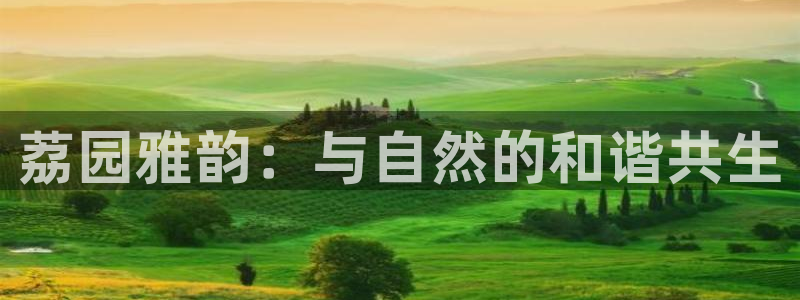 天辰娱乐地址