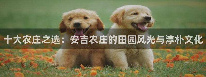 天辰娱乐招商
