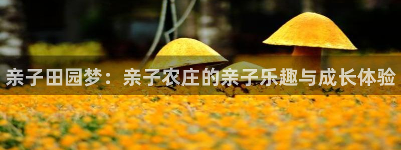天辰娱乐公司