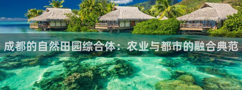 天辰娱乐直属