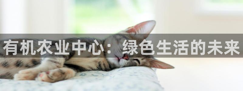 天辰娱乐会所