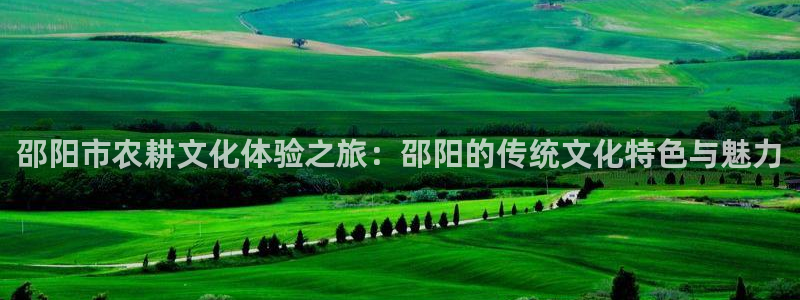 天辰娱乐网