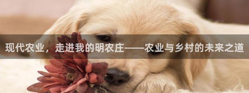 天辰娱乐扣钱