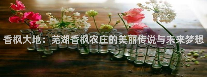 广东天辰娱乐