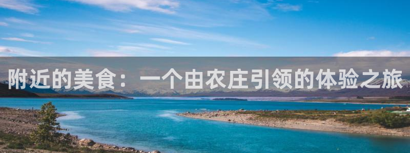 天辰娱乐主管