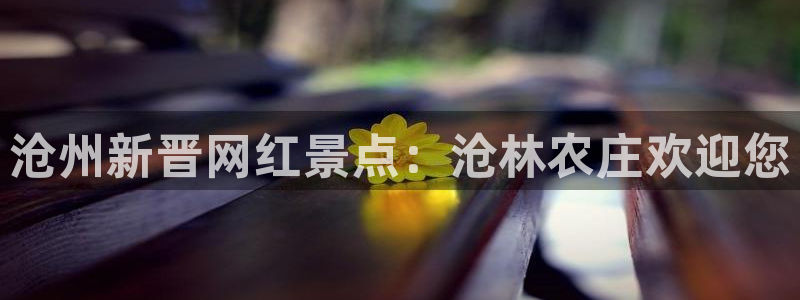 天辰娱乐在线