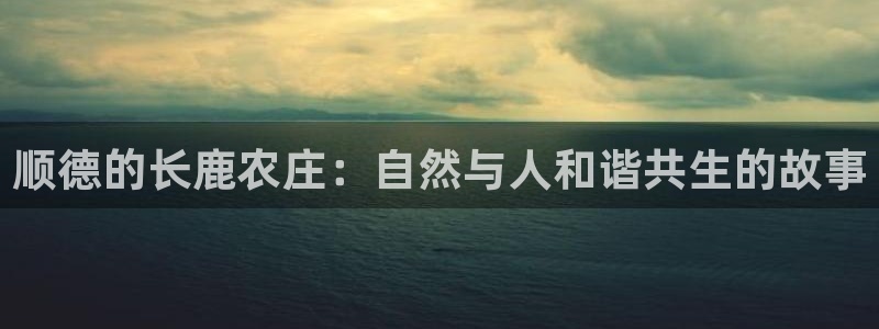 天辰娱乐登陆