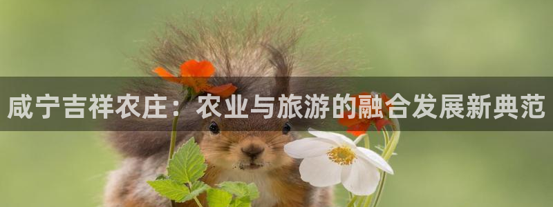 天辰娱乐传媒