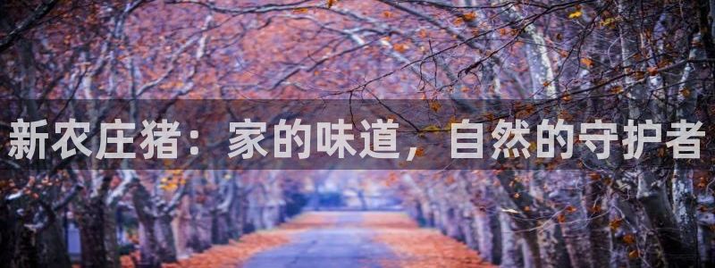 手机上怎么下载天辰娱乐