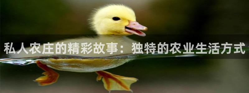 天辰娱乐股票