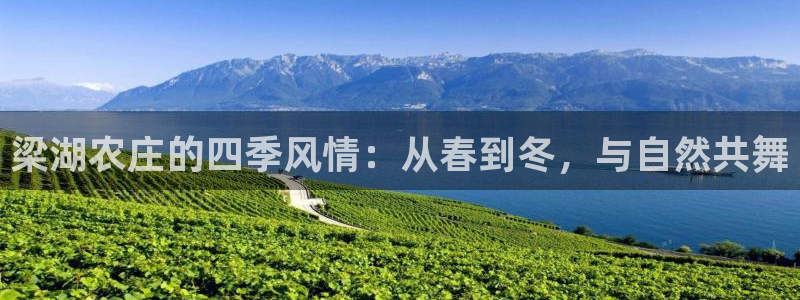 天辰娱乐游戏平台怎么样