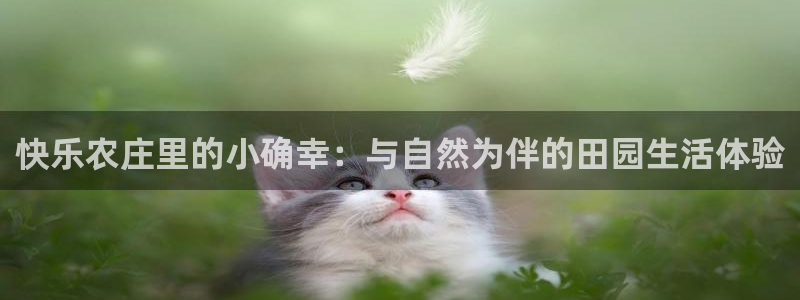 天辰娱乐开户