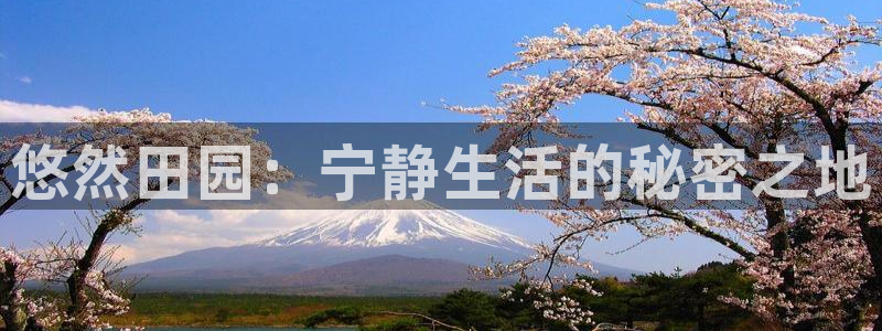 天辰娱乐老板