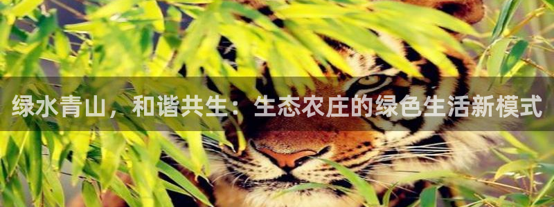 天辰娱乐