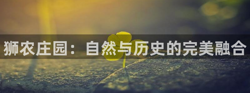 天辰娱乐下载地址