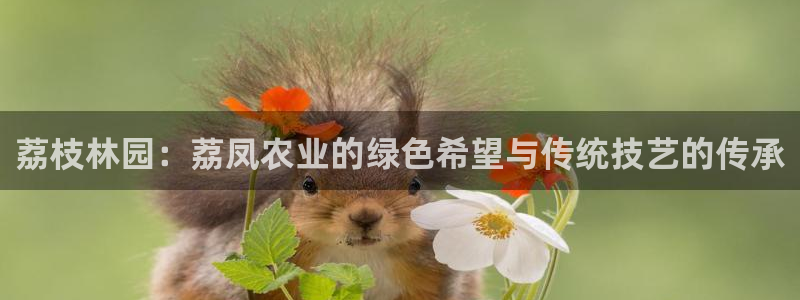 天辰娱乐上级