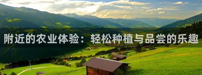 天辰娱乐黑人
