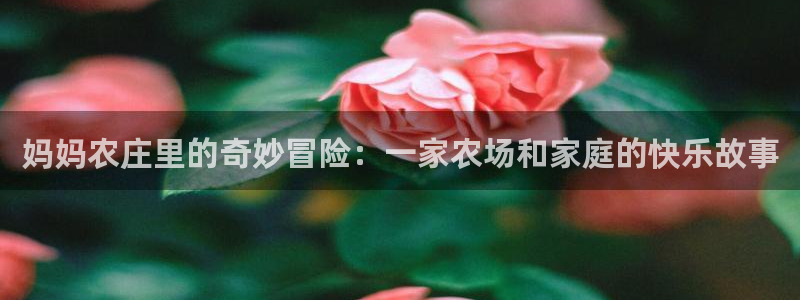 桂林天辰娱乐