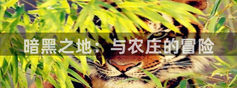 天辰娱乐十分彩