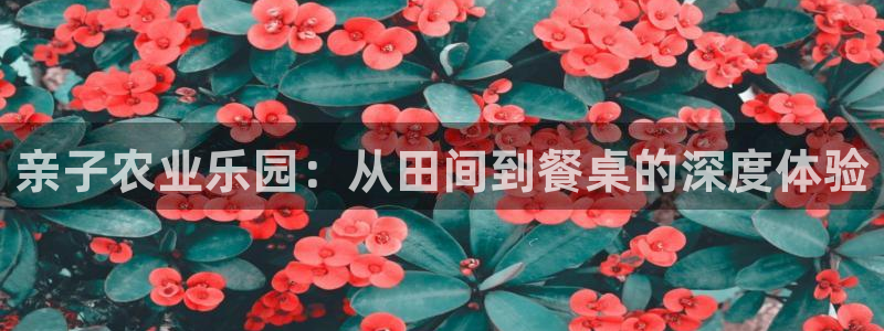 天辰娱乐跑的快