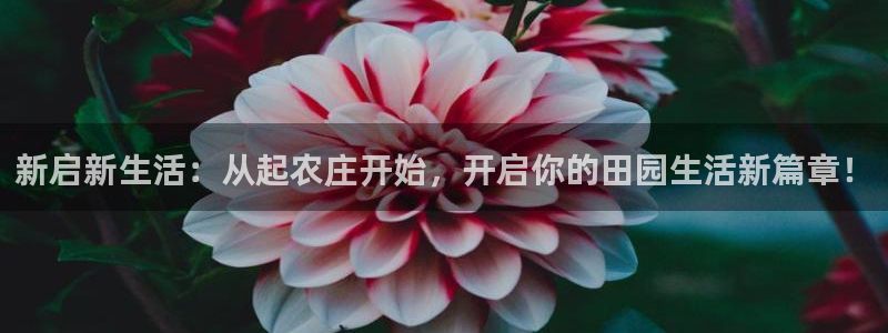 南京天辰娱乐