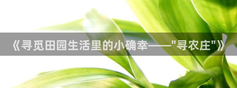 天辰娱乐视频
