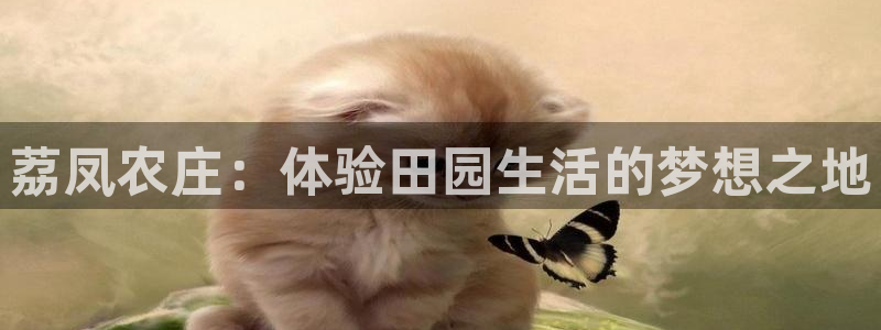 天辰娱乐481928