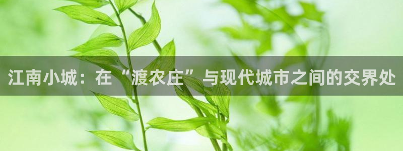 天辰娱乐视频