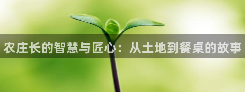 天辰娱乐 18113