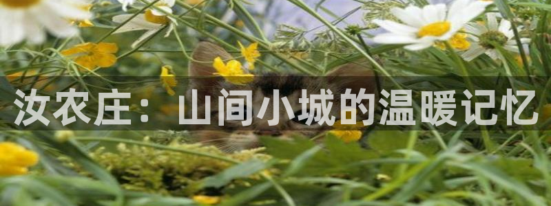 天辰娱乐代理