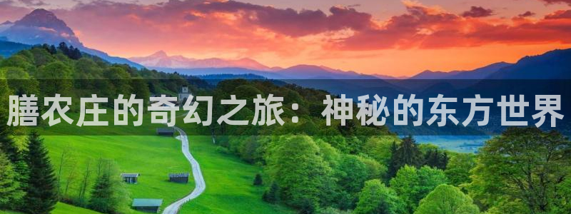 天辰娱乐网