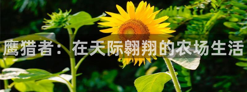 天辰娱乐60447