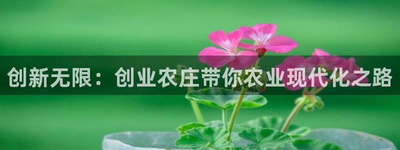 天辰娱乐上级