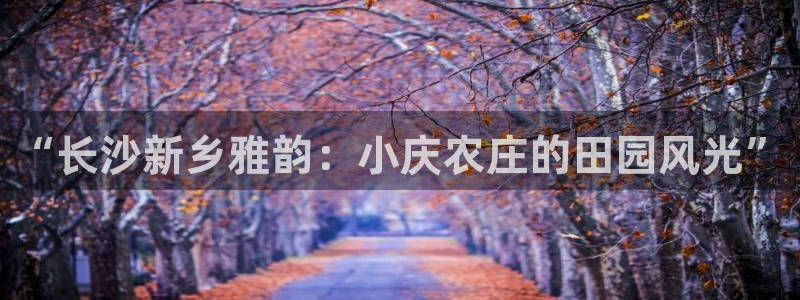 天辰宝宝娱乐