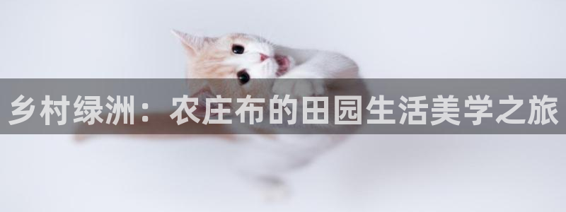 天辰娱乐728567