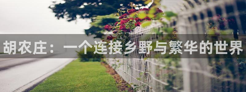天辰娱乐老板
