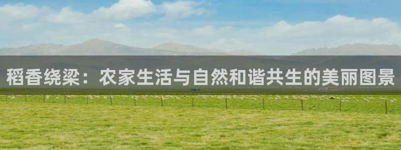 天辰娱乐简介